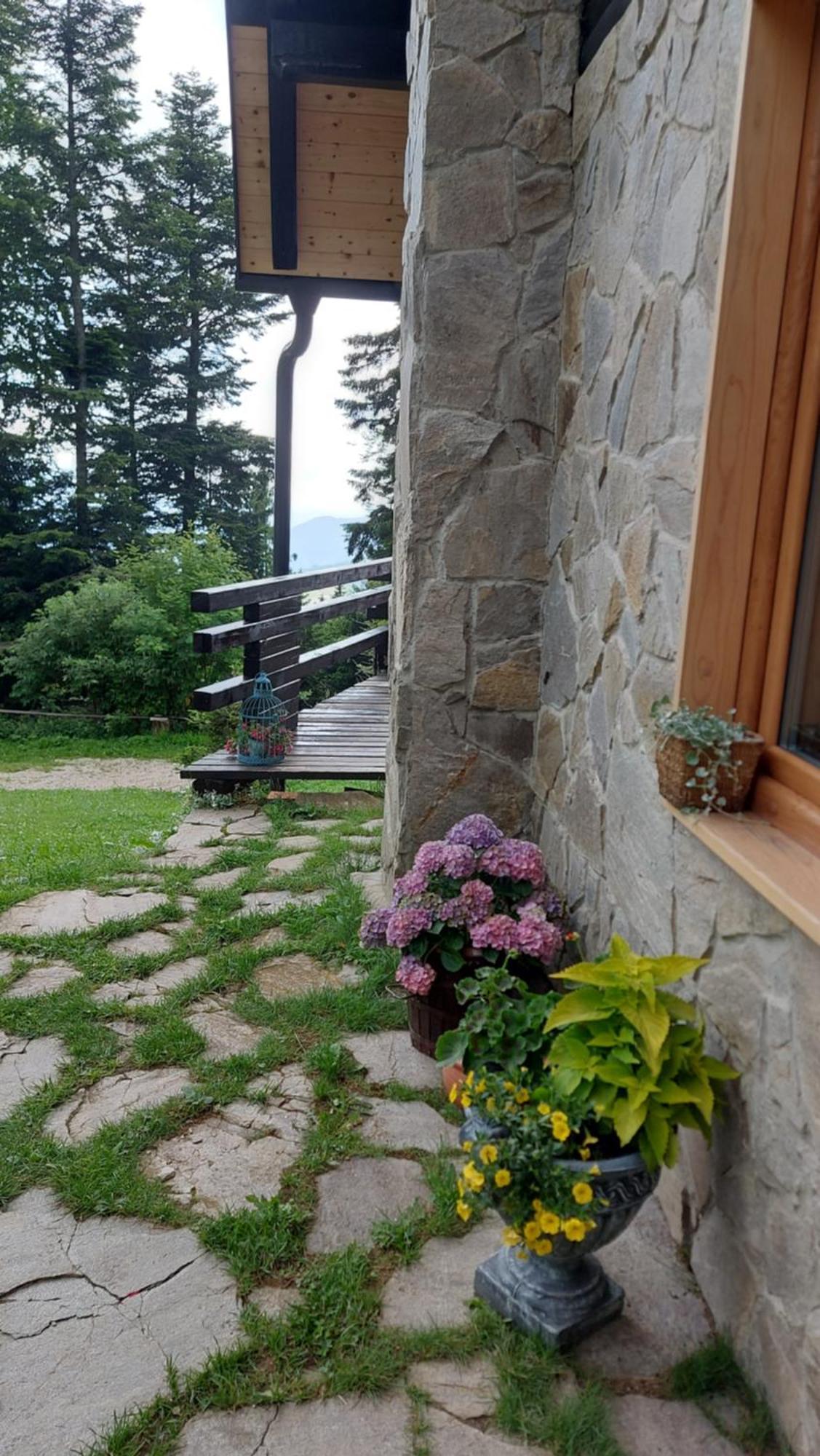 Rogla - Chalet Mojca Pokrajculja Zreče Exteriör bild