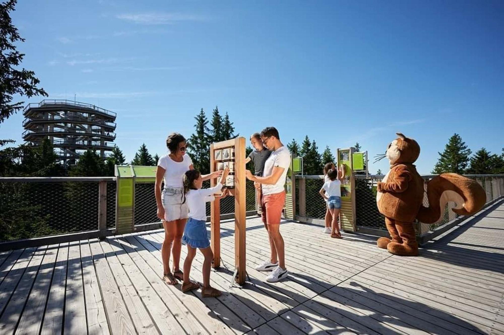 Rogla - Chalet Mojca Pokrajculja Zreče Exteriör bild